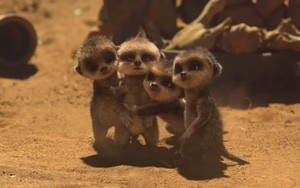 Adbreakanthems Compare The Market – Say Goodbye To Baby Oleg tv advert ad music