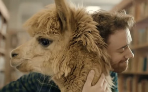 Adbreakanthems McVitie’s Delichoc – Llamas tv advert ad music