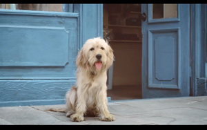 Adbreakanthems O2 4G – Be More Dog tv advert ad music